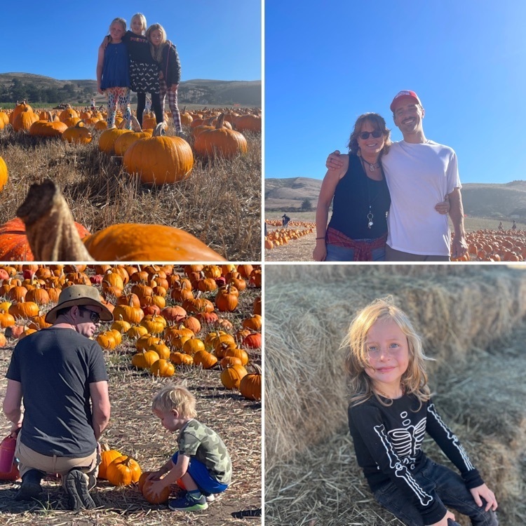 pumpkin patch fun