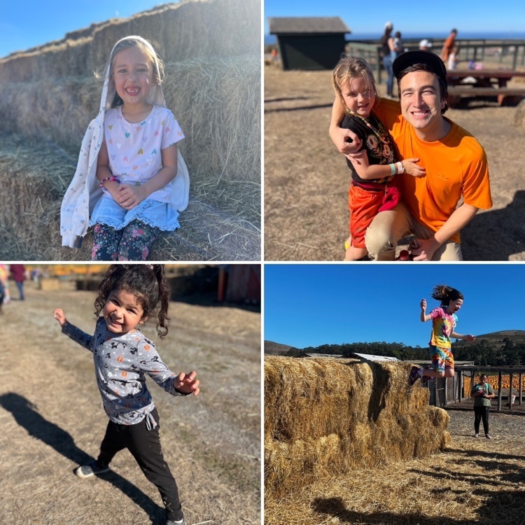  pumpkin patch fun