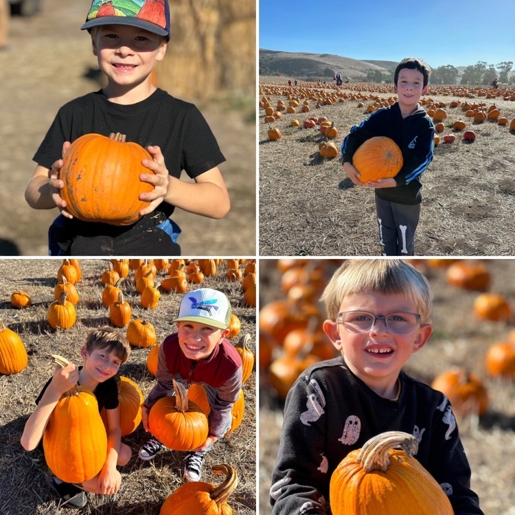 pumpkin patch fun