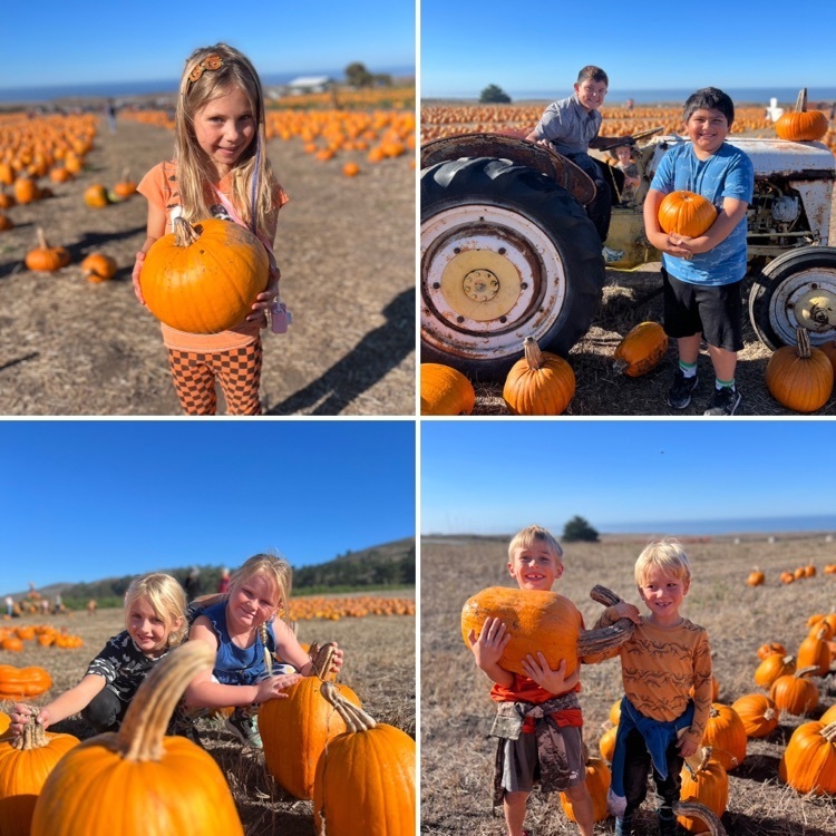 pumpkin patch fun