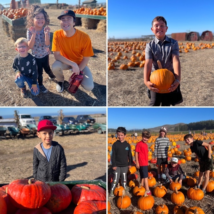 pumpkin patch fun