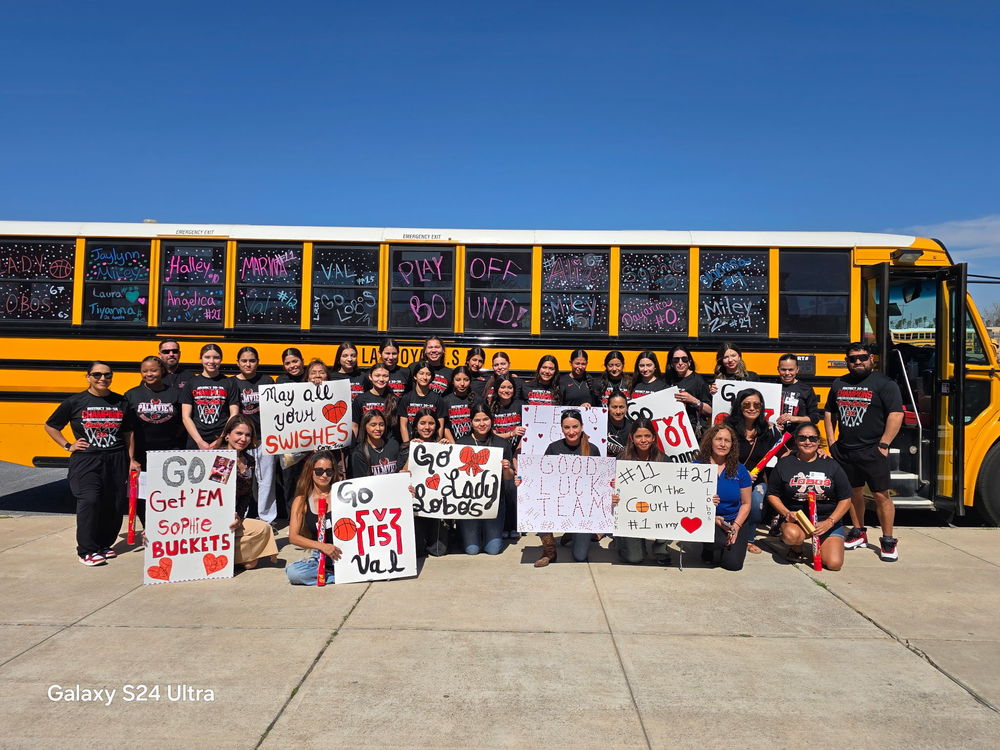 🏀🐺 PLAYOFF BOUND! 🐺🏀