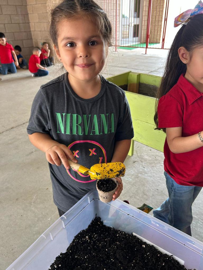Pre-K Plants