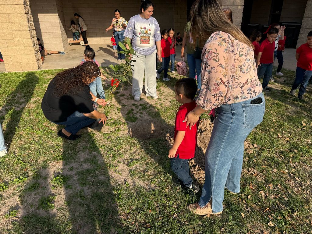Pre-K Gardening