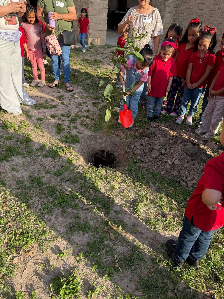 Pre-K Gardening