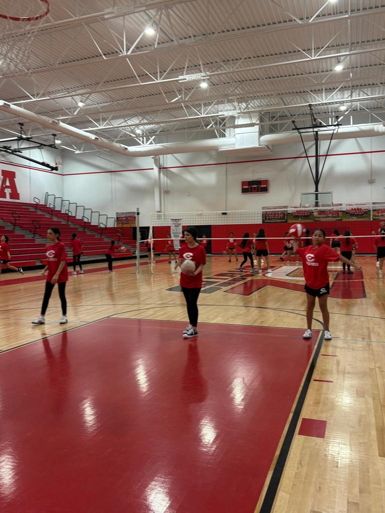 Lady Coyotes 