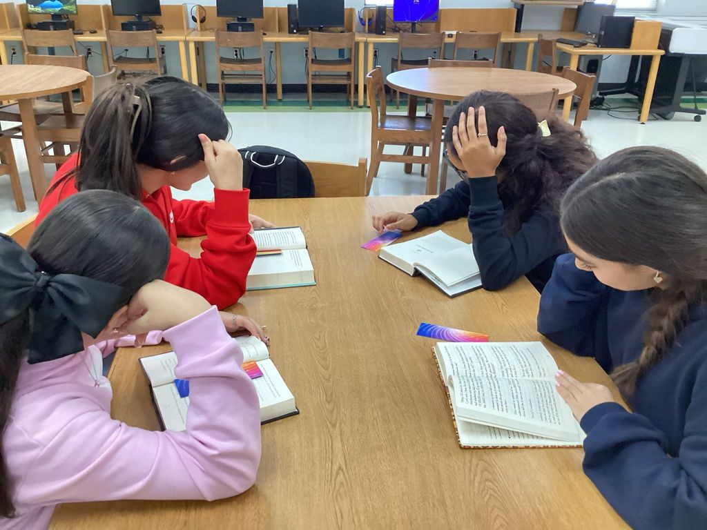 LDZ Library