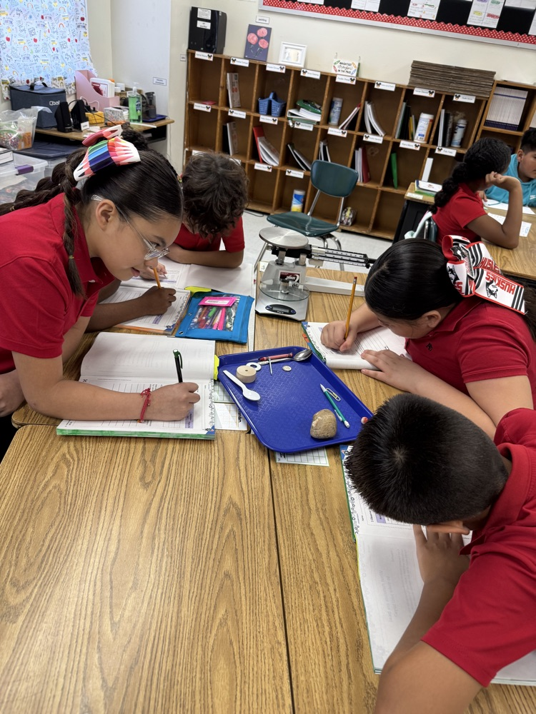 science activity 