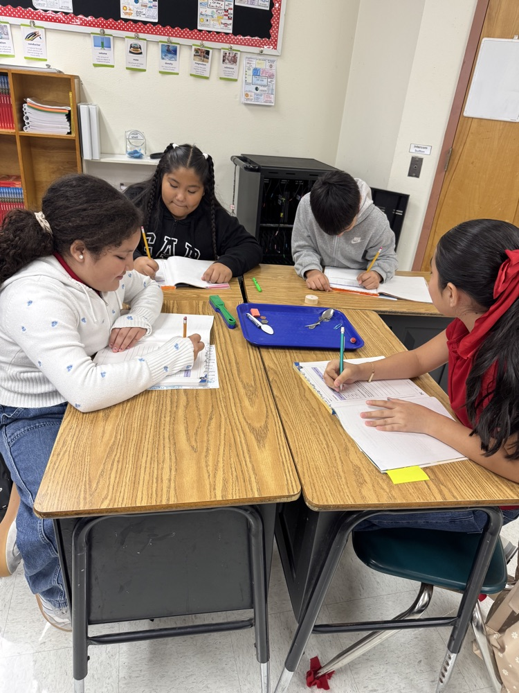 science activity 