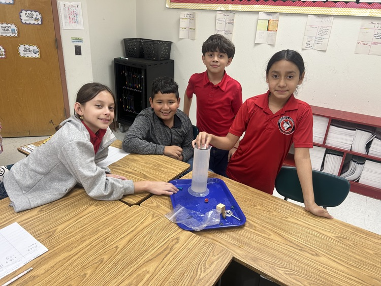 science activity