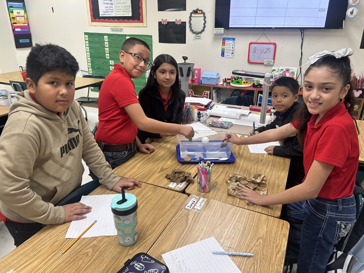 science activity