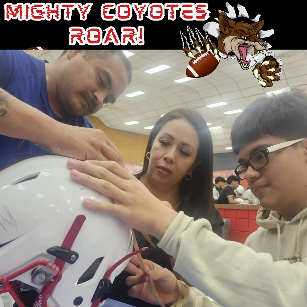 Decal Night