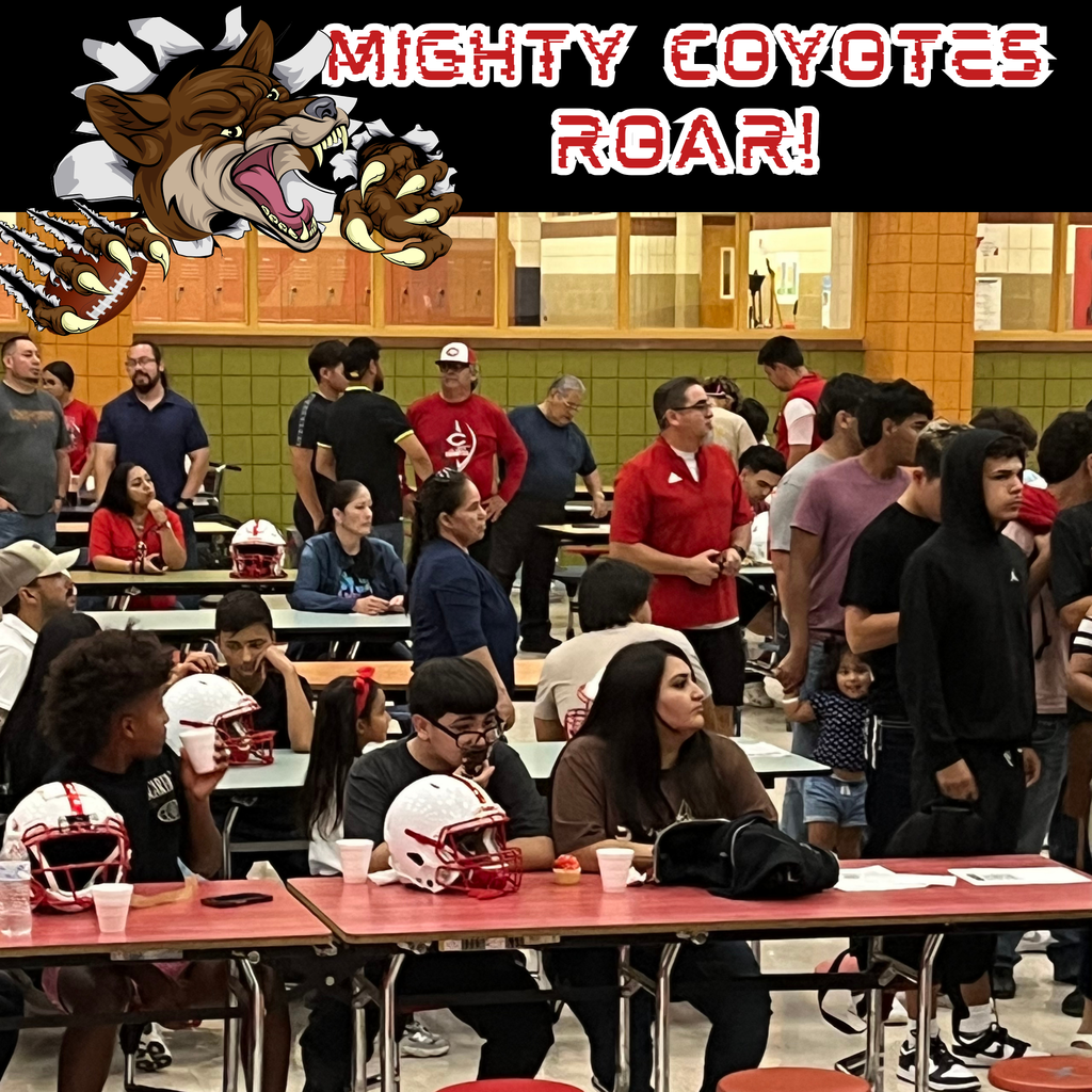 Decal Night