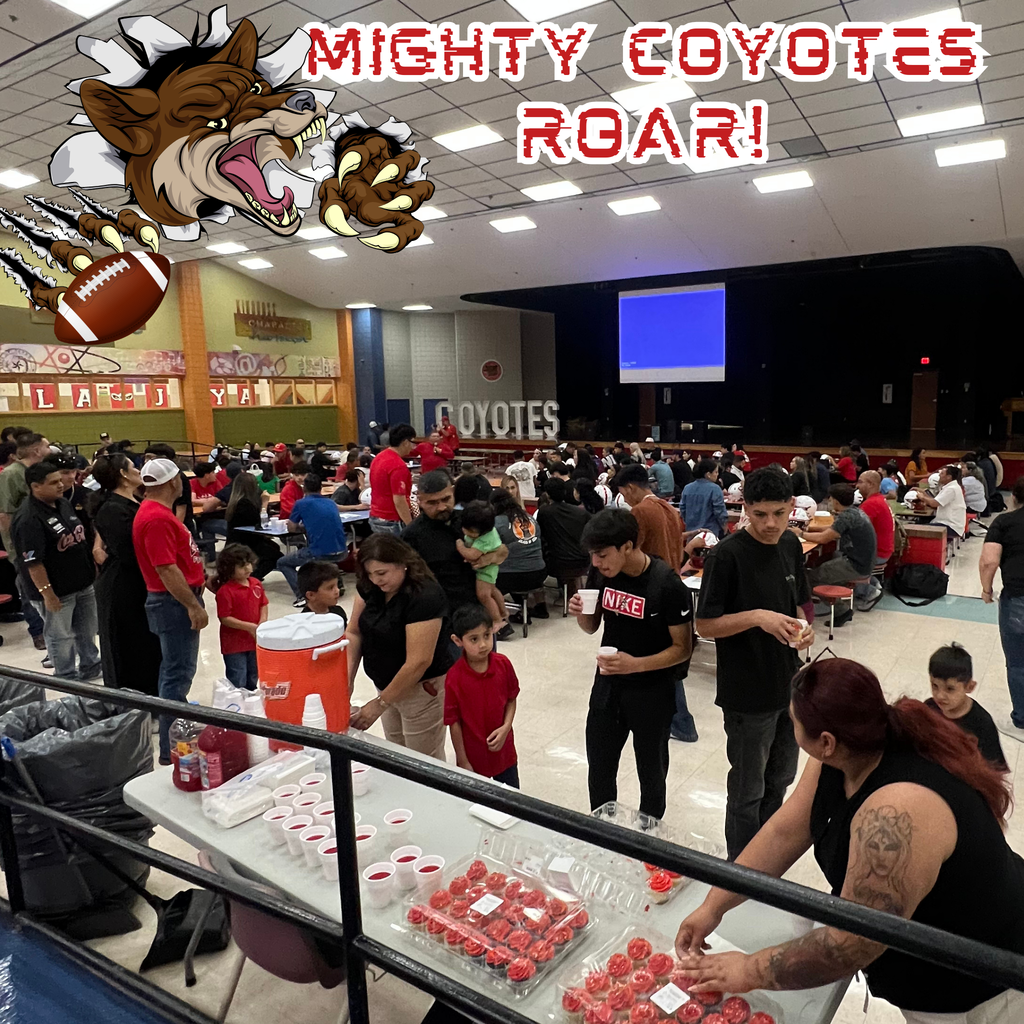 Decal Night