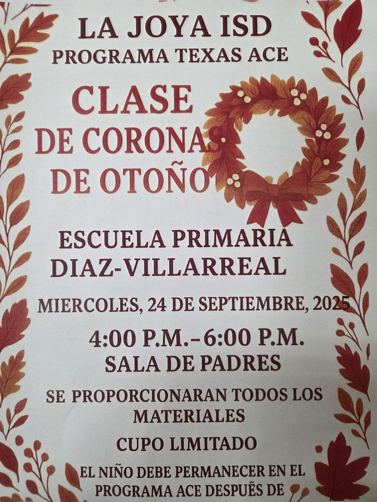ace flyer