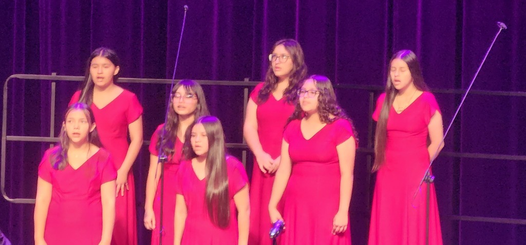 LDZ Choir