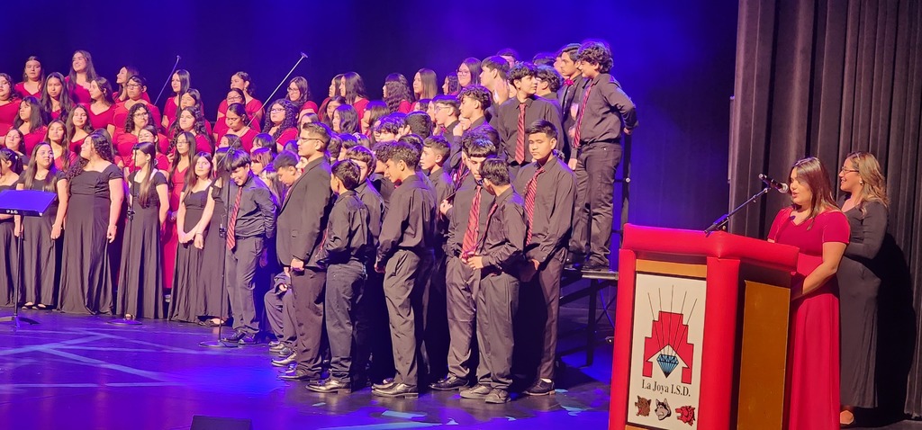 LDZ Choir