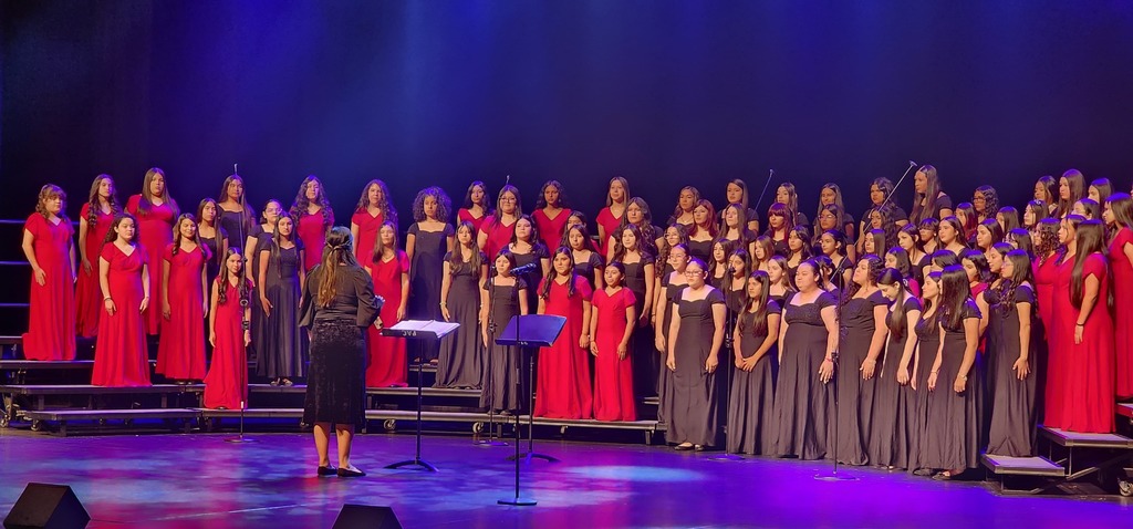 LDZ Choir