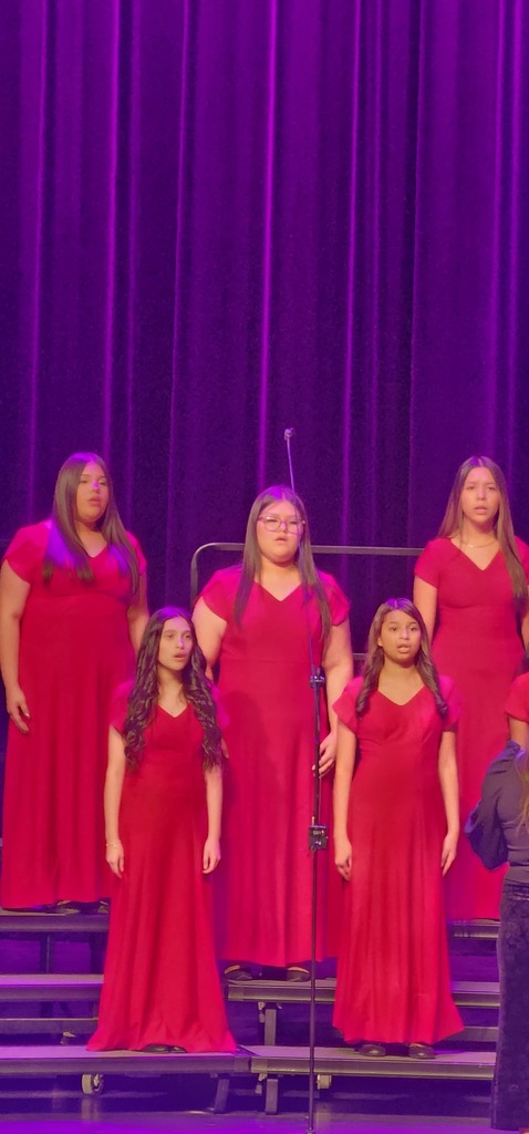 LDZ Choir