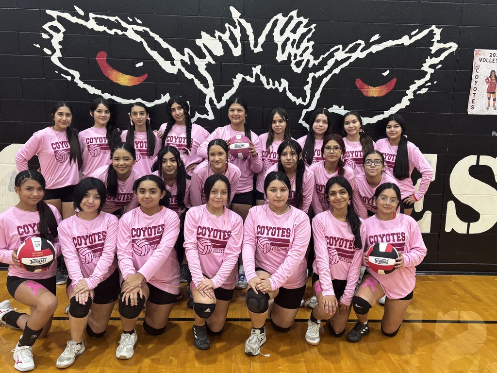 Lady coyotes 