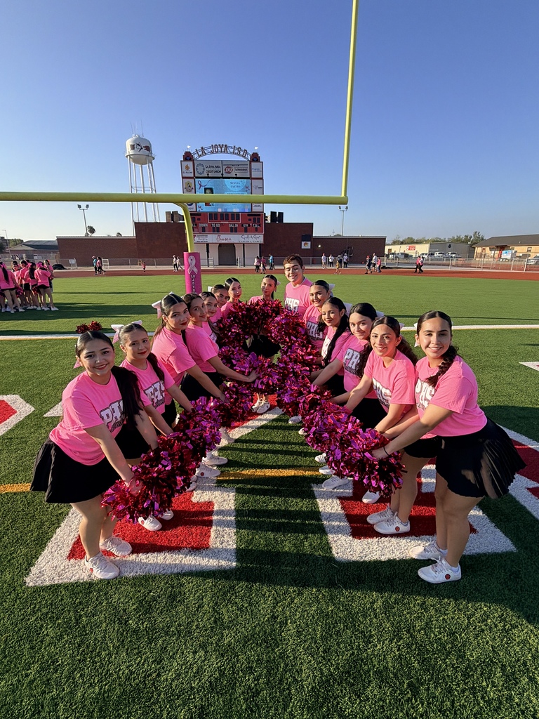 PHS Breast Cancer Walk