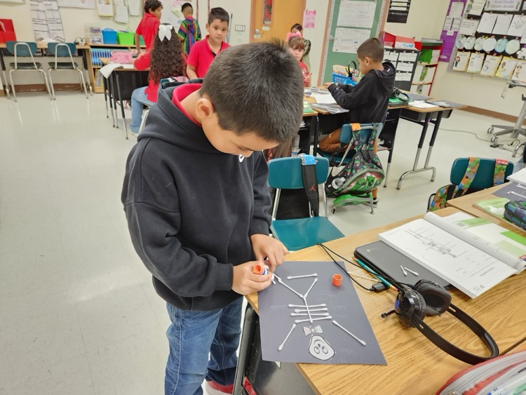 skeleton activity 