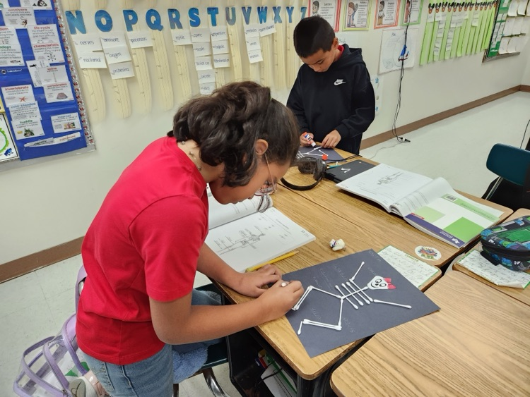 skeleton activity 