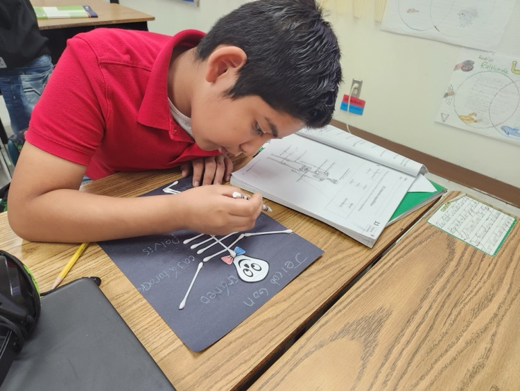 skeleton activity 