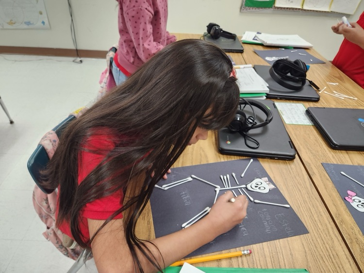 skeleton activity 
