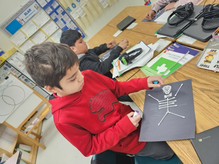 skeleton activity 
