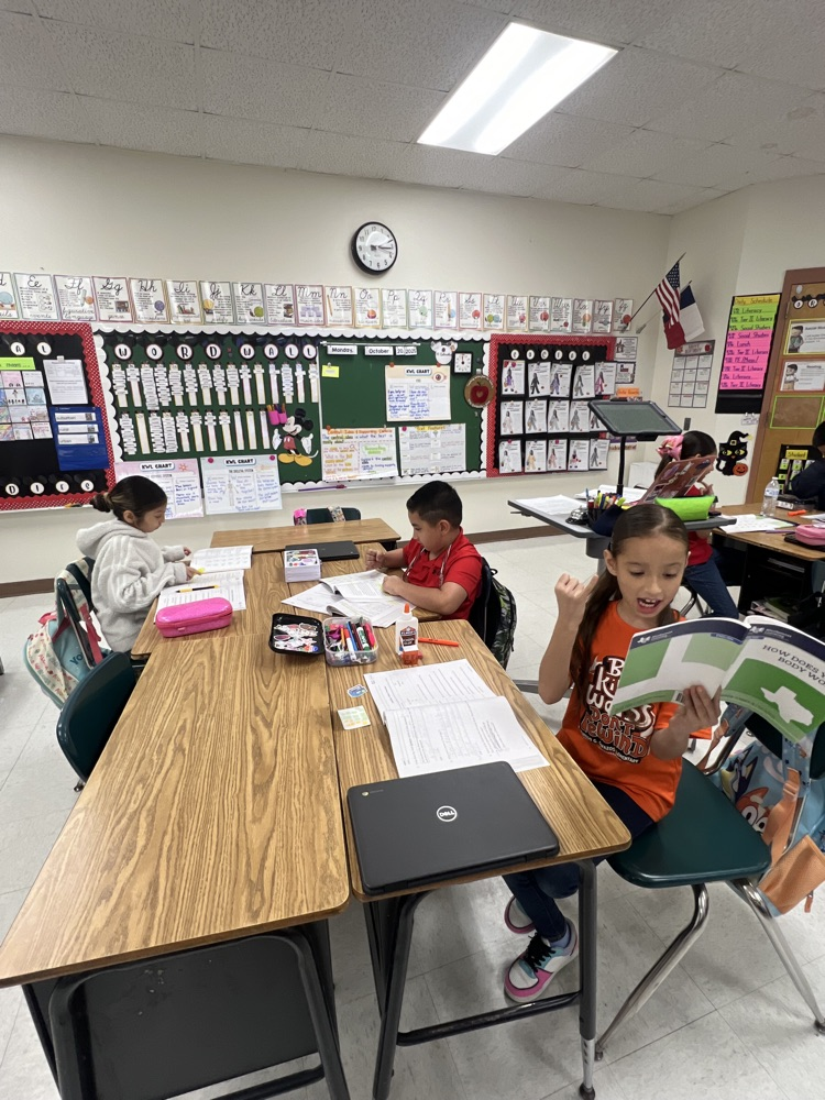 reading activity 