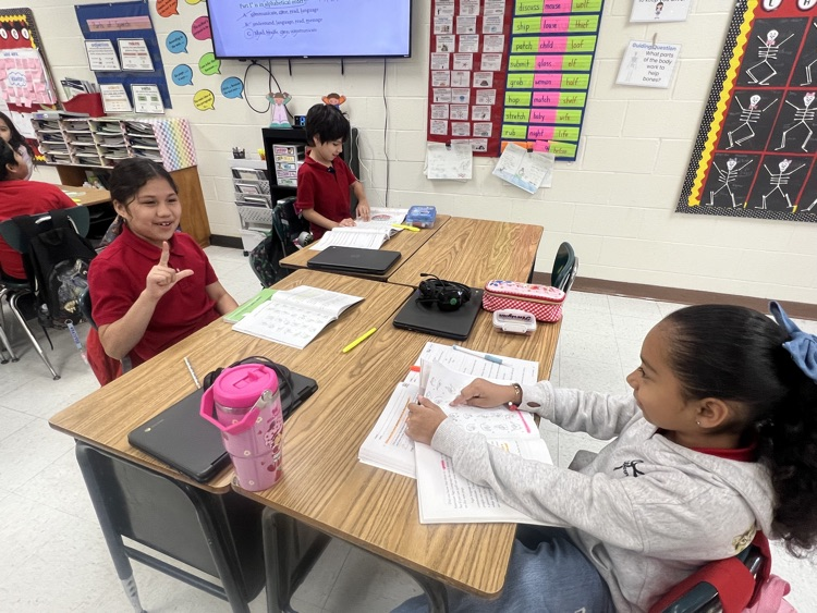 reading activity 