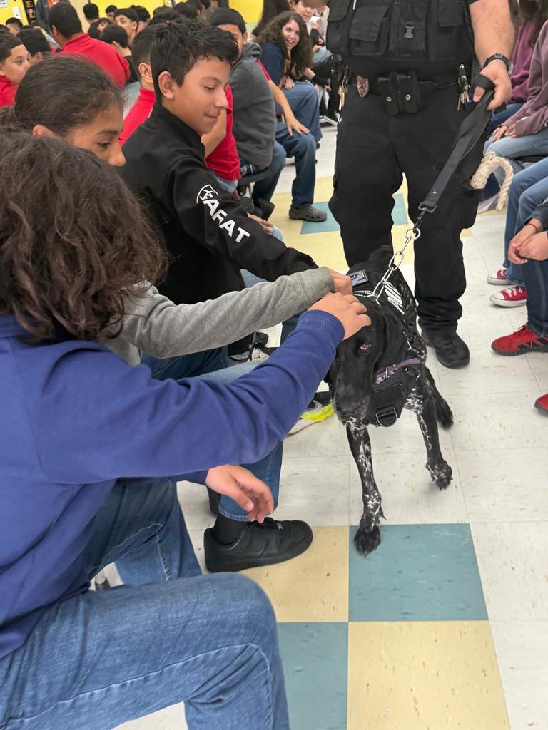 7th grade presentation