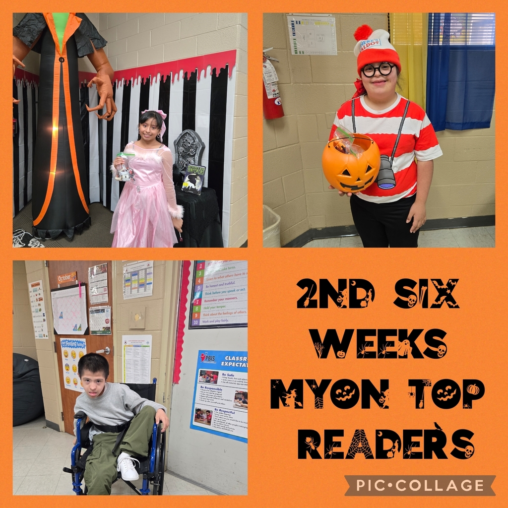 2nd 6 weeks myon