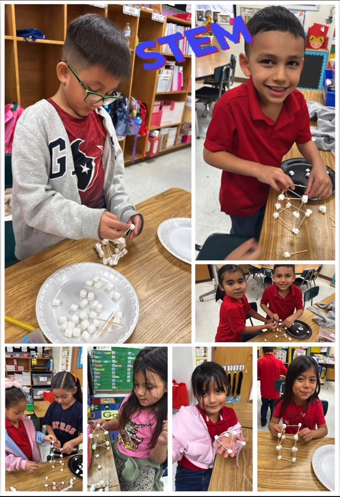 stem activities 
