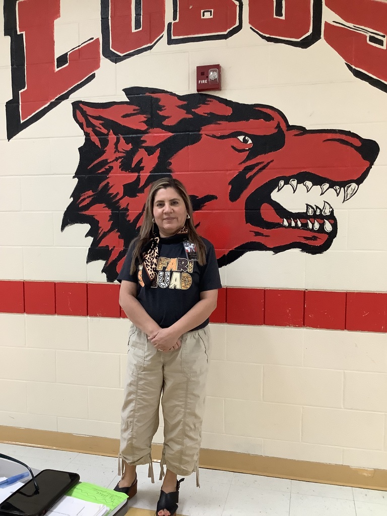 Dress up Day Children's book week