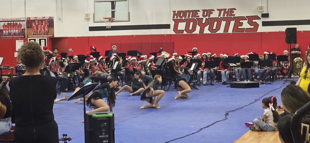 LDZ Fine Arts Showcase