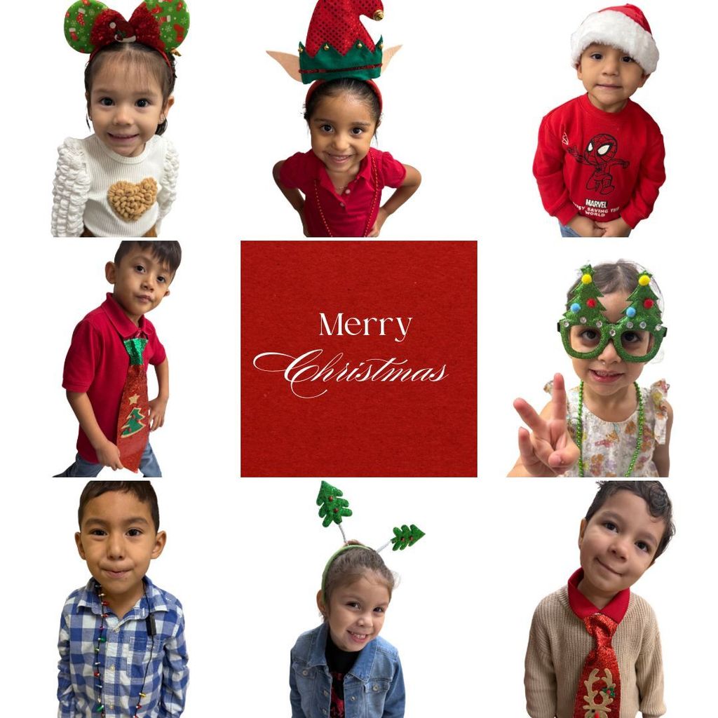 christmas accessories