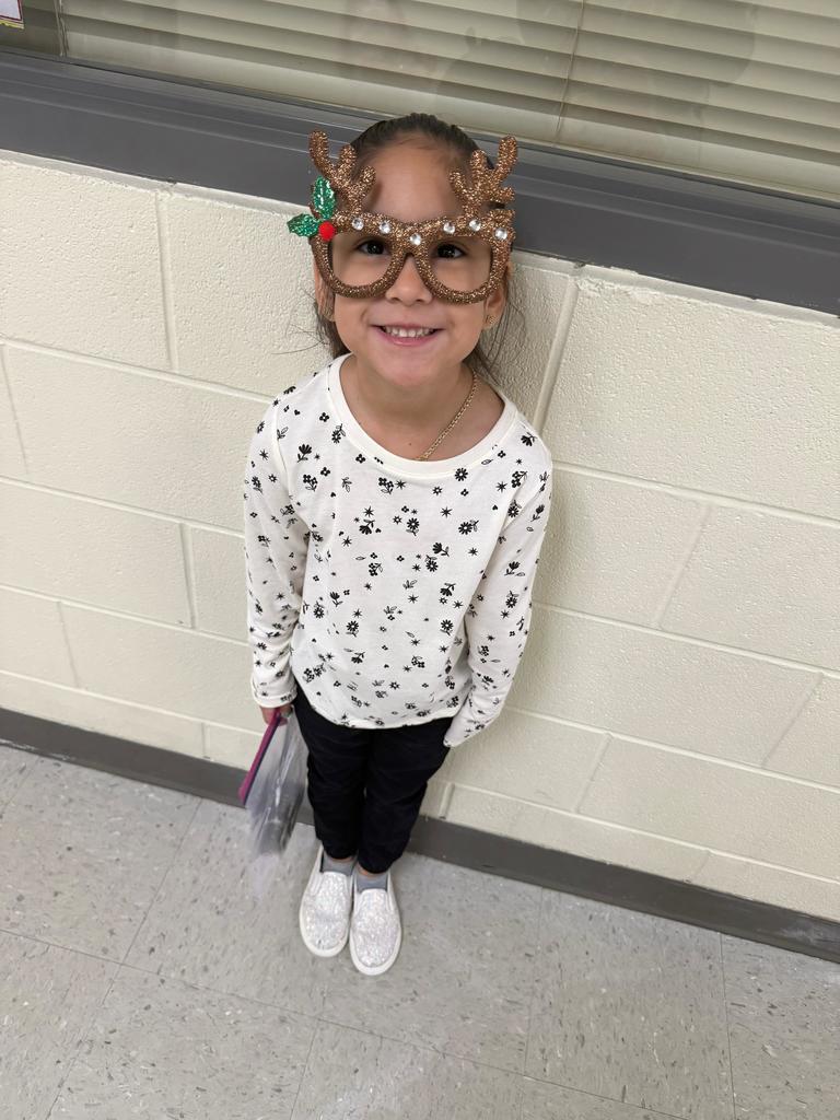 christmas accessories