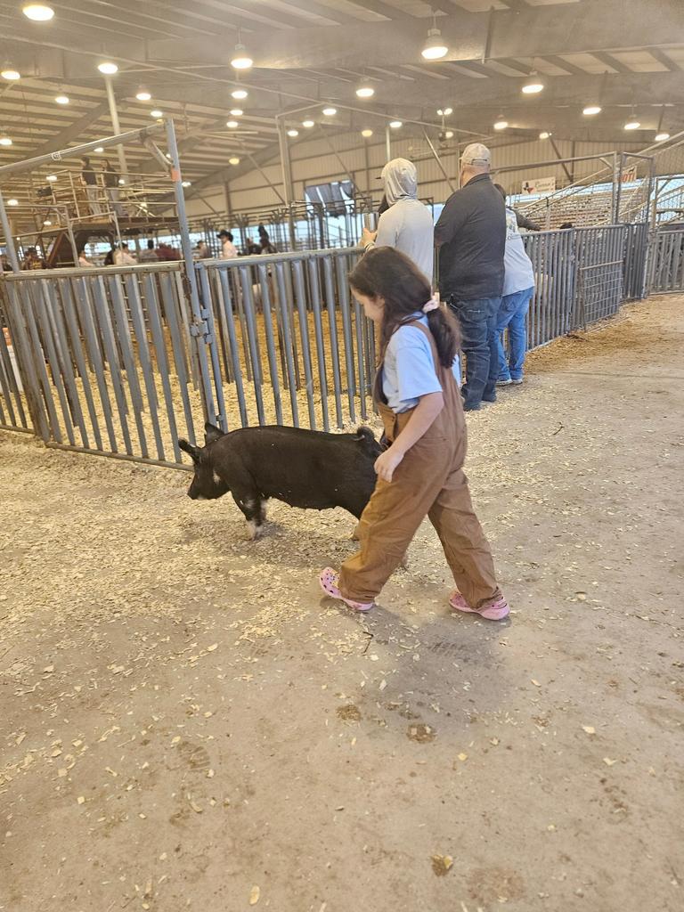 Piper Won Citrus Valley District reserve breed champion