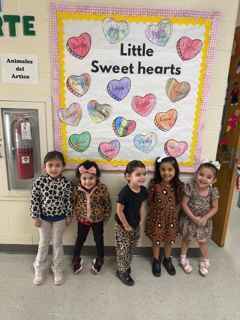 love your library. animal print attire