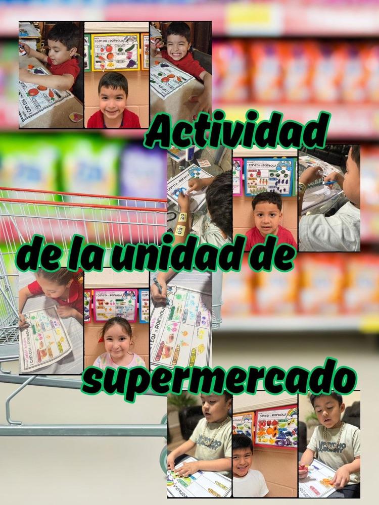 grocery store unit activity 