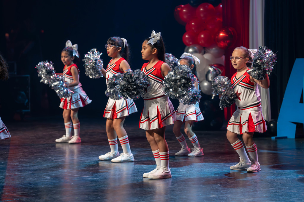 ACE END OF YEAR PERFORMANCE 