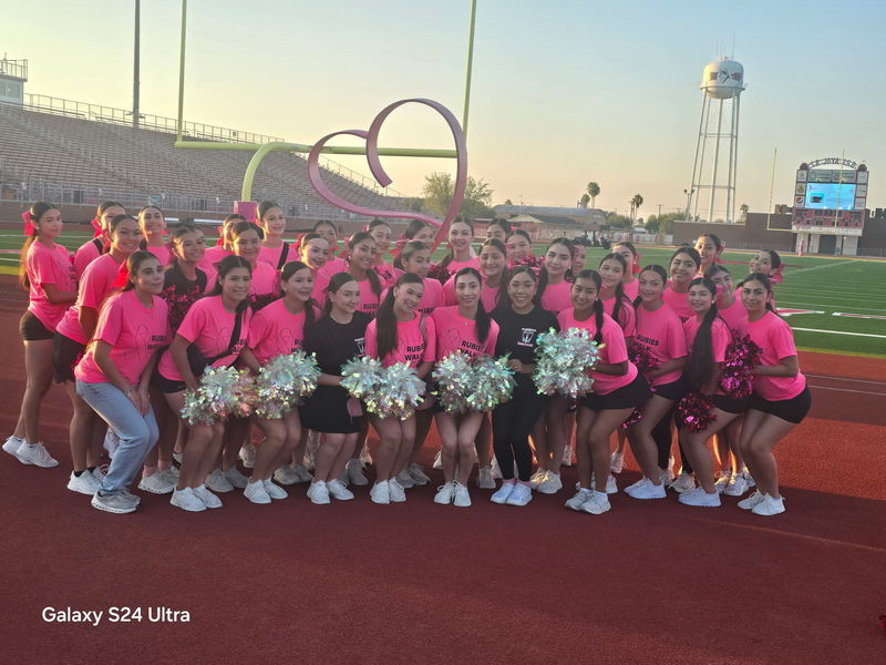 PHS Breast Cancer Awareness