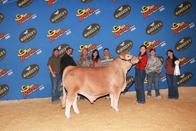 Dominique Requenez Earns Third in San Antonio for her Market Steer!