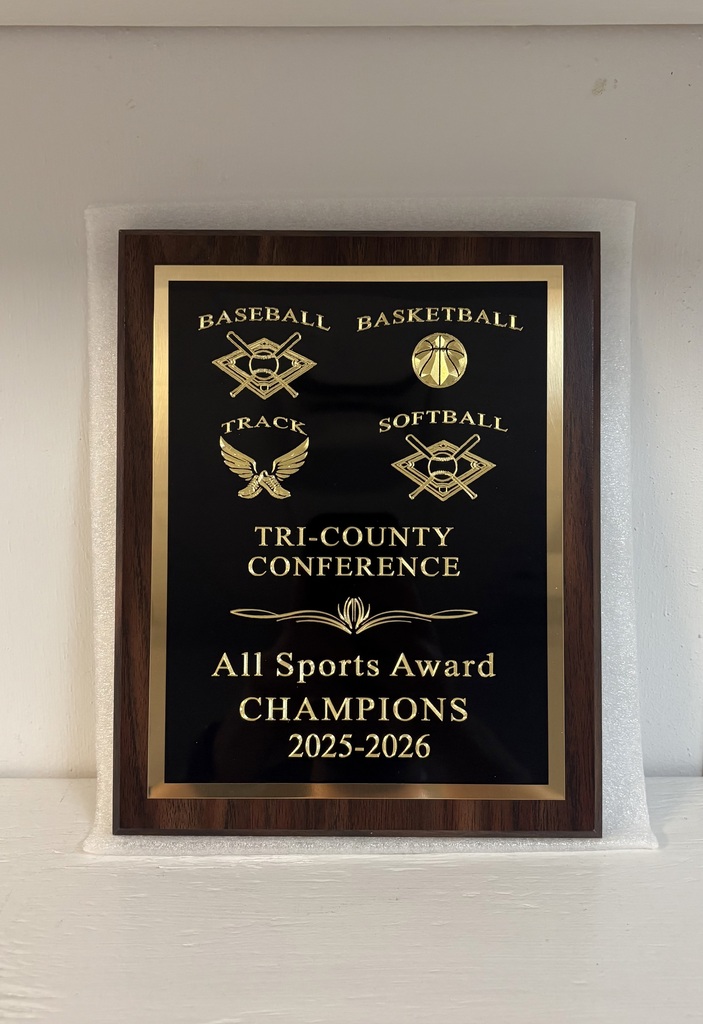 All Sports Award