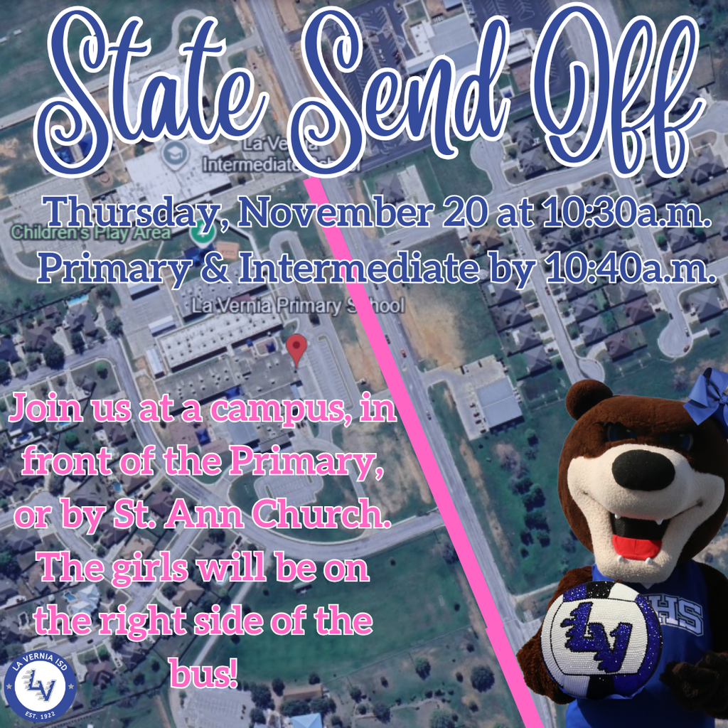 Volleyball State Send Off