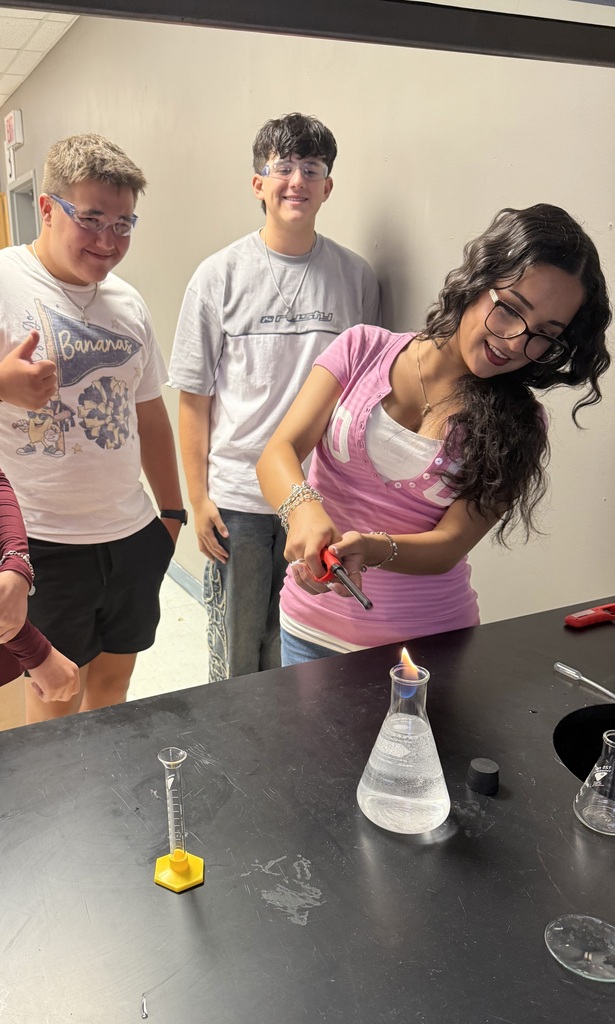Honors Chemistry students