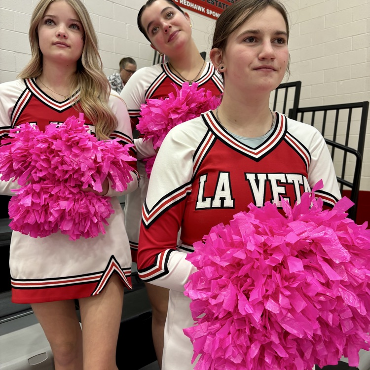 Pink Pom Poms