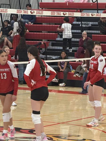 Redhawks Volleyball 